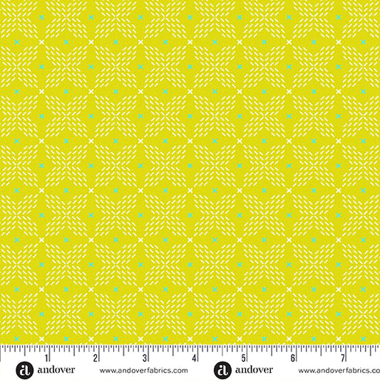 Double Crossed Limeaid - Color Pop Playground