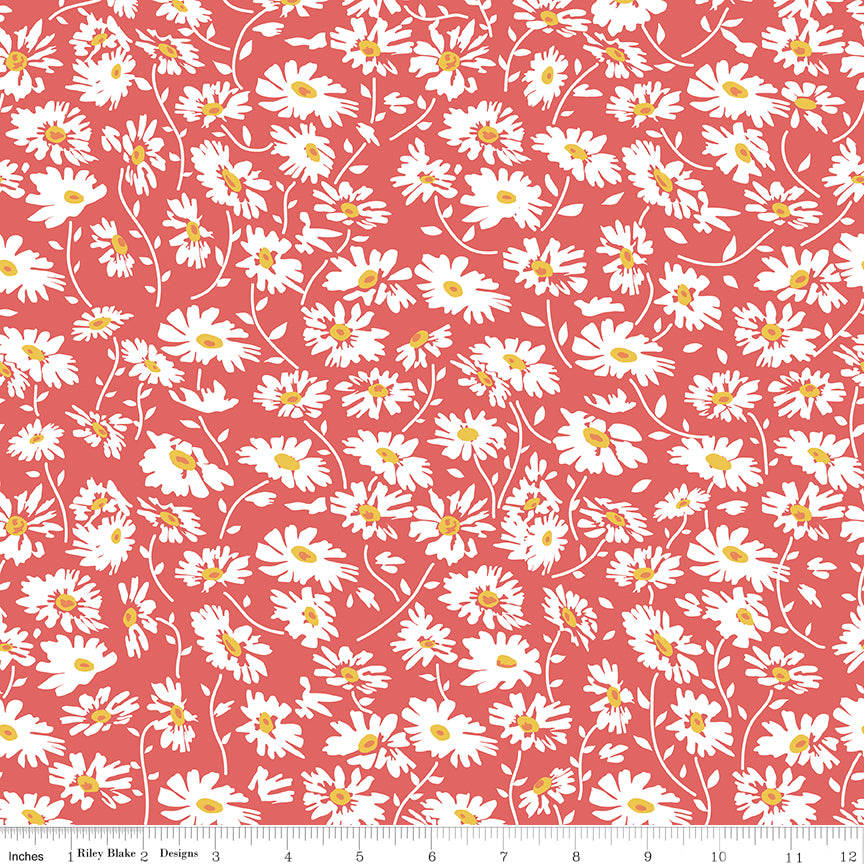 Always in Season Red Daisy