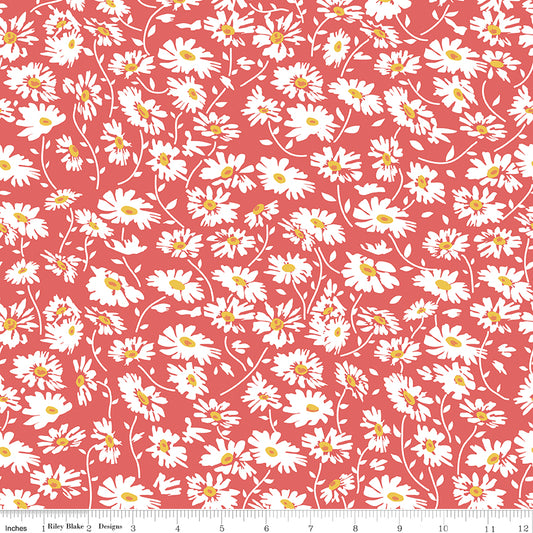 Always in Season Red Daisy