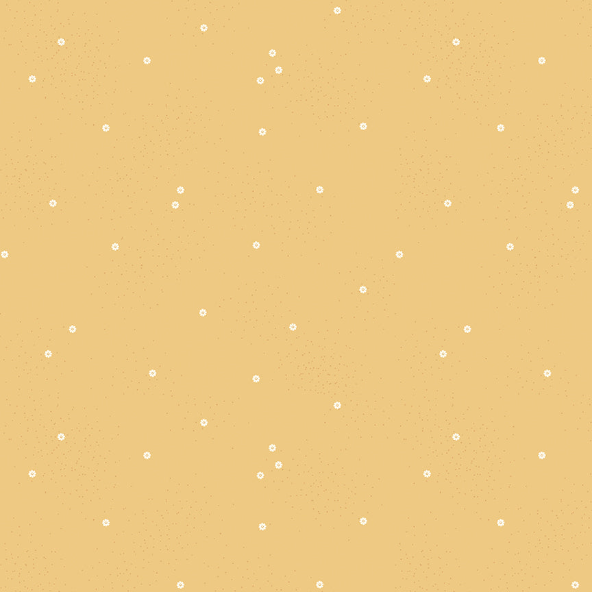 Dainty Daisy - Honey