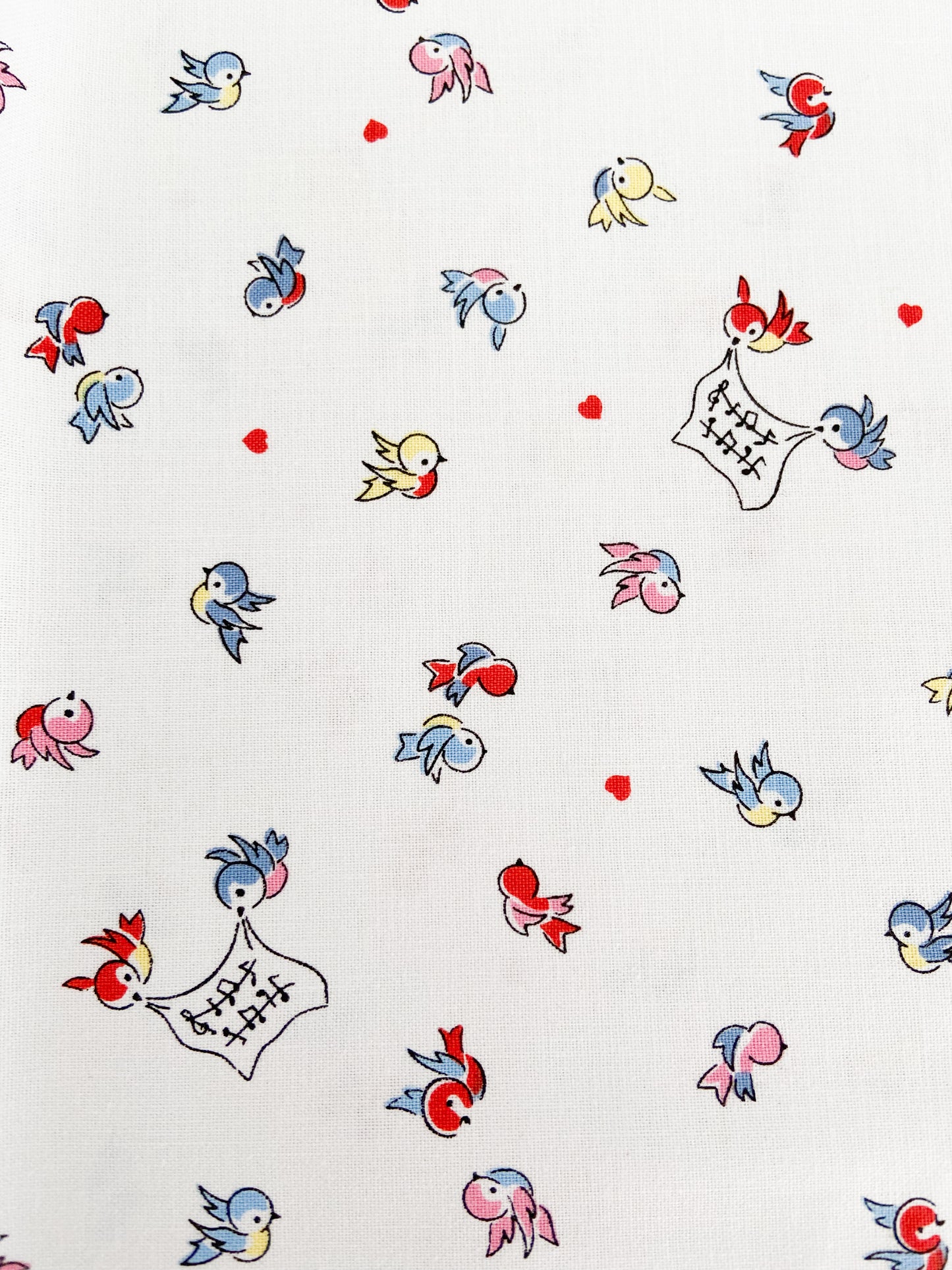 Love Notes Songbirds White by Lindsay Wilkes for Riley Blake Designs