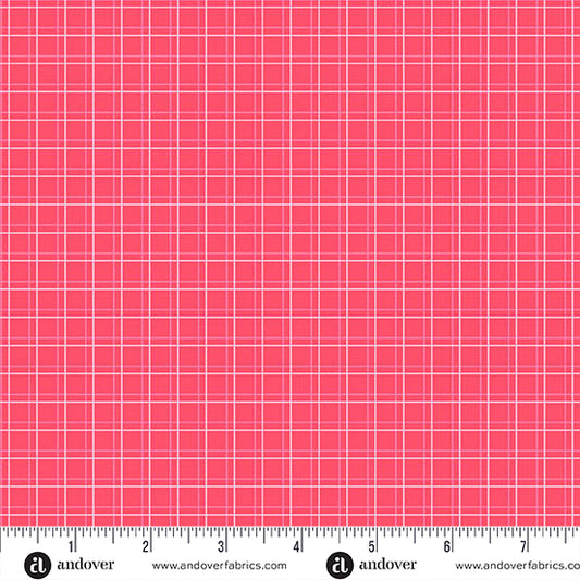 Parallel Play Watermelon - Color Pop Playground
