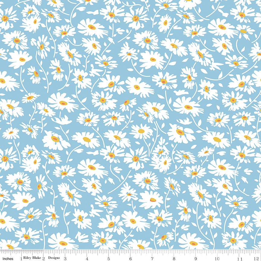 **Pre-order due September 2024** Always in Season Sky Blue Daisy