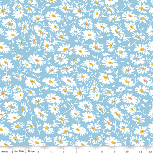 **Pre-order due September 2024** Always in Season Sky Blue Daisy