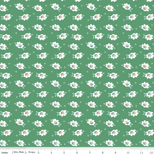 **Pre-order due September 2024** Always in Season Green Lazy Daisy