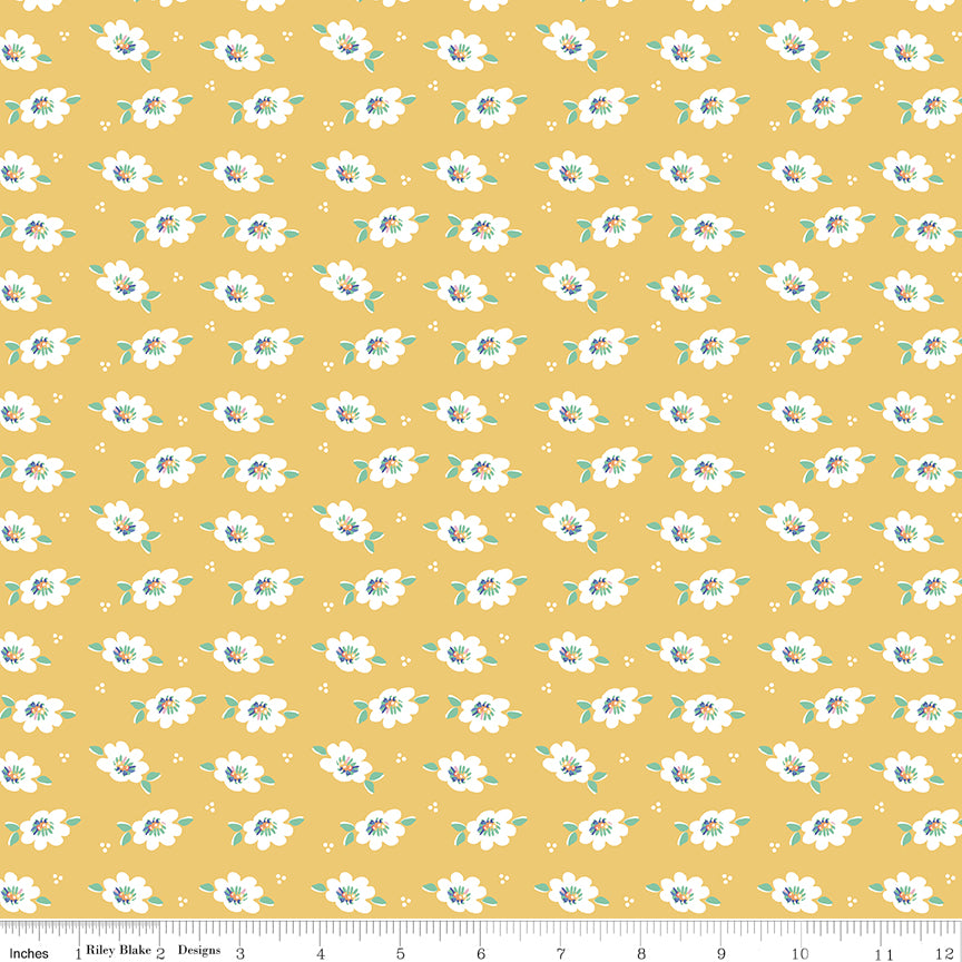 **Pre-order due September 2024** Always in Season Yellow Lazy Daisy