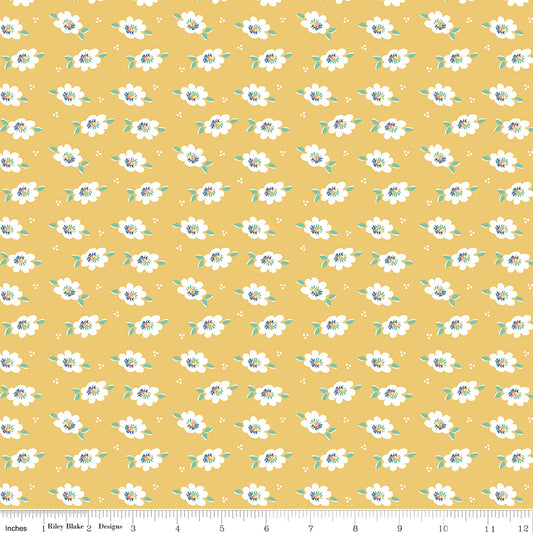 **Pre-order due September 2024** Always in Season Yellow Lazy Daisy