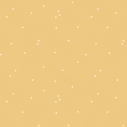 Dainty Daisy - Honey