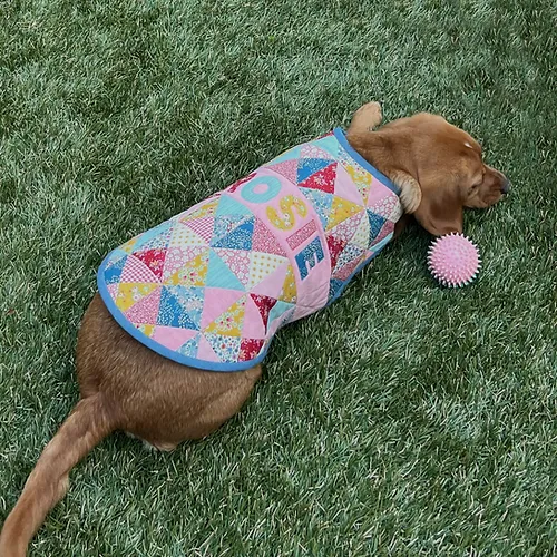 Patchwork Pooch Dog Jacket Printed Pattern by Melly and Me